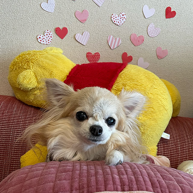 Emafuさんの実例写真