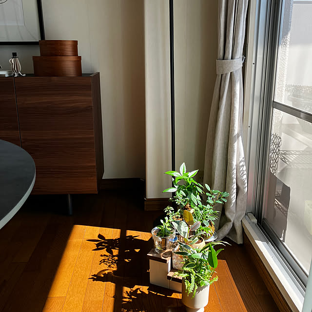 meyusaさんの部屋