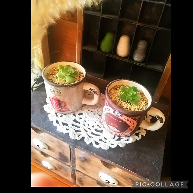 玄関/入り口/癒し*´｀*/多肉植物のある暮らし/多肉ちゃん/jijiﾁｬﾝの鉢♡...などのインテリア実例 - 2023-03-30 09:33:50