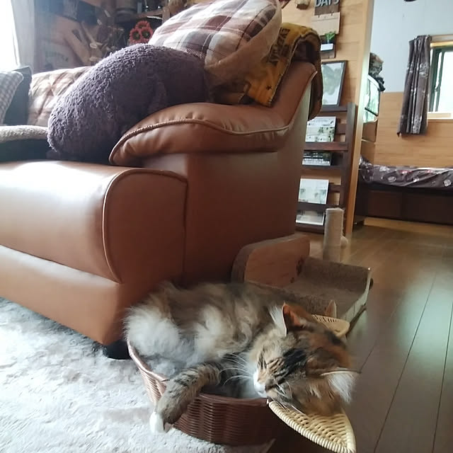 実例写真