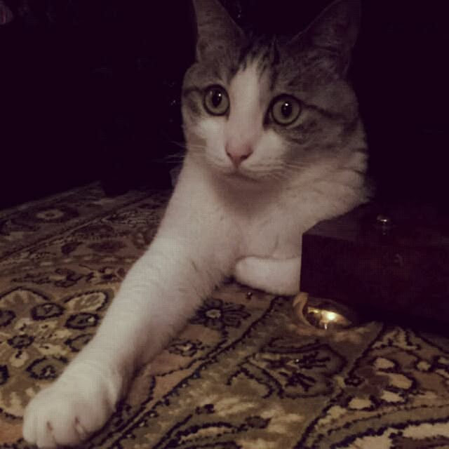 emmyyさんの実例写真