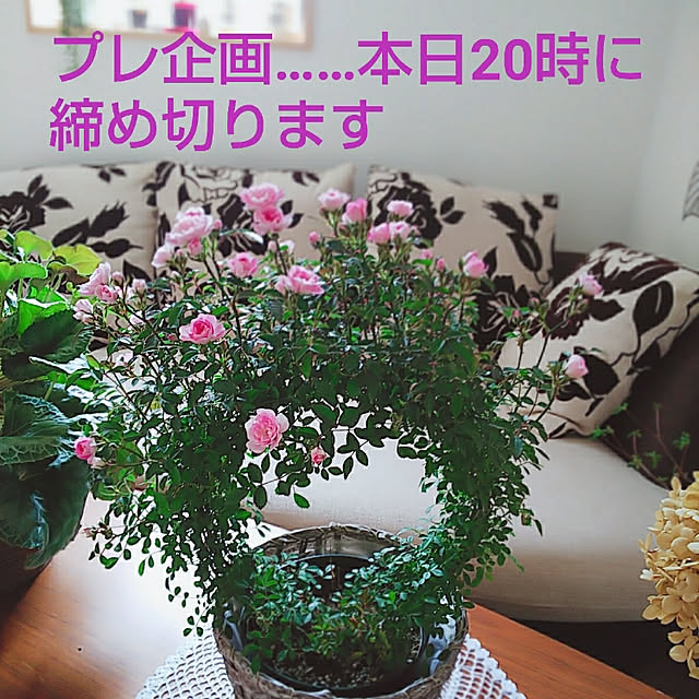 Motomeさんの実例写真