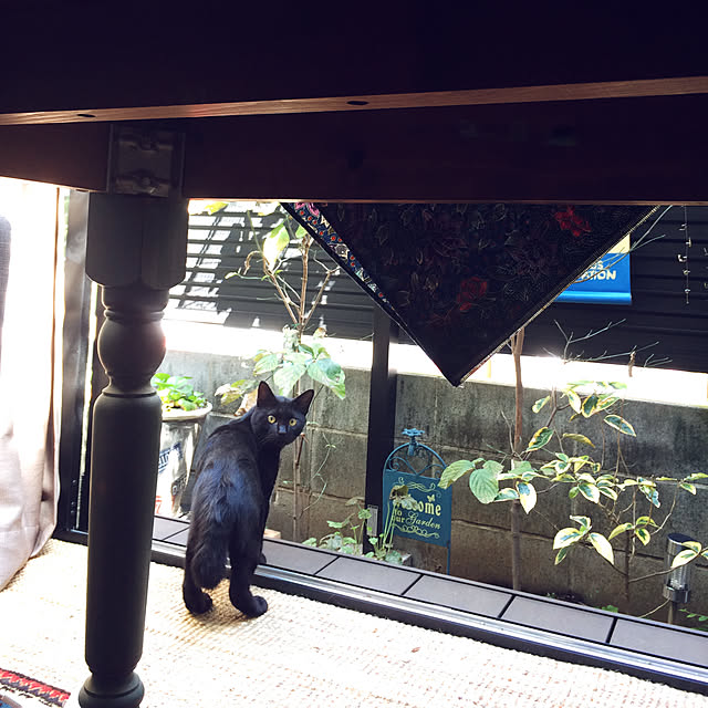 chacoさんの実例写真