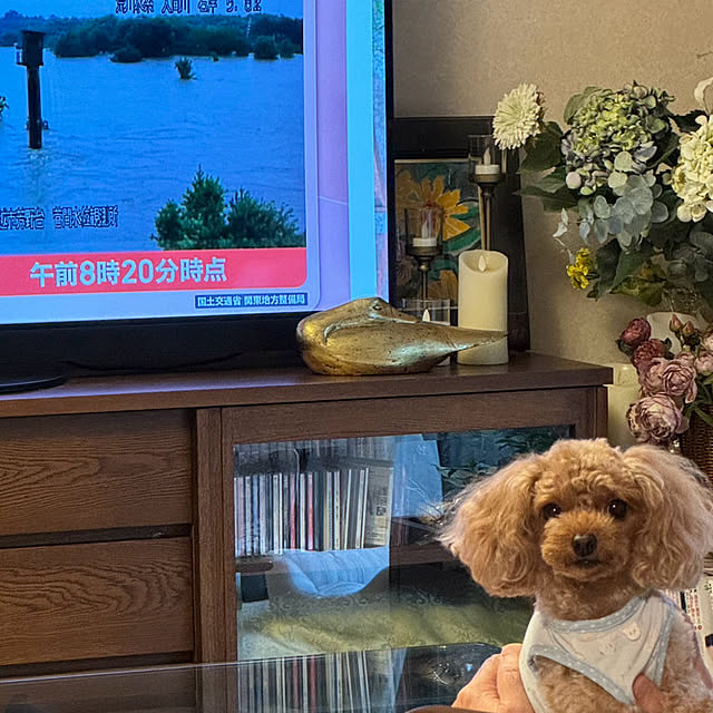 mamizaさんの実例写真