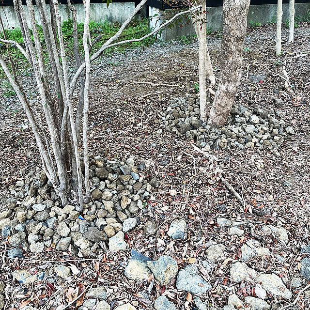kabu10さんの部屋