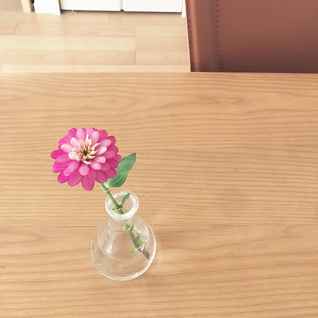 kotoka_tさんの実例写真