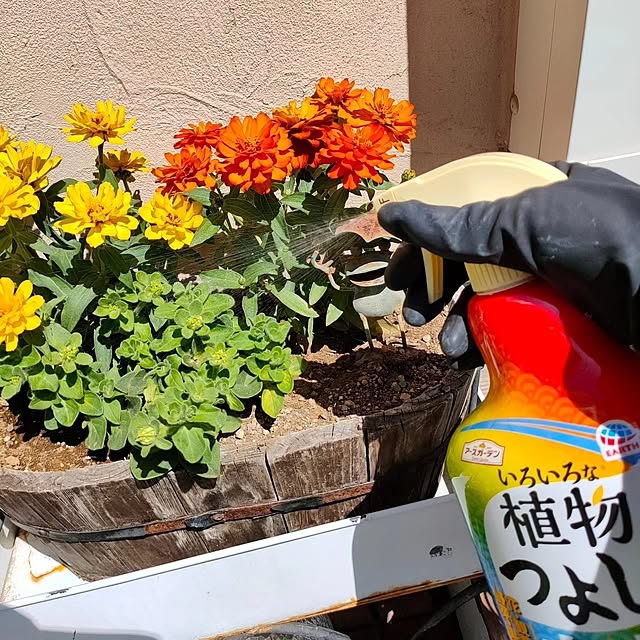 YUKKIさんの部屋