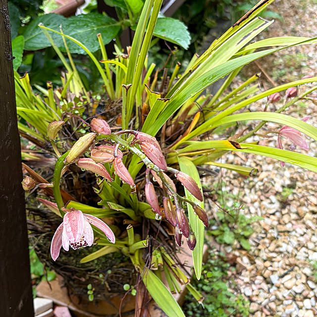 ritsukoさんの部屋