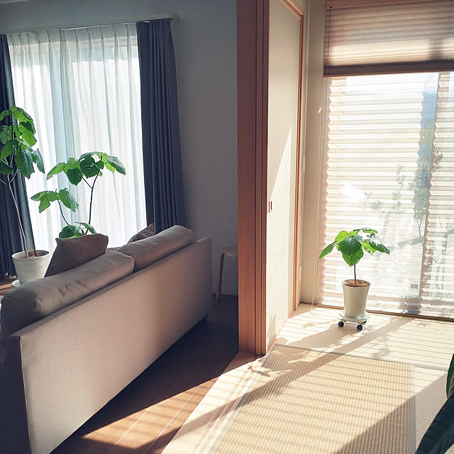 tan5さんの実例写真