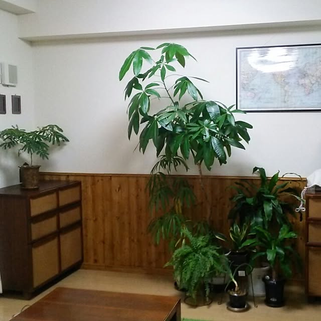 mituringoさんの実例写真