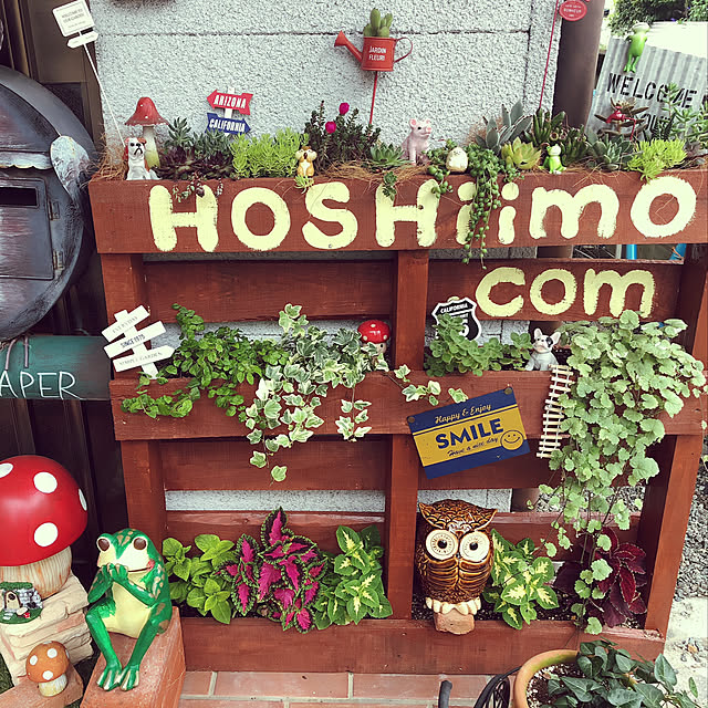 hosiimoさんの実例写真
