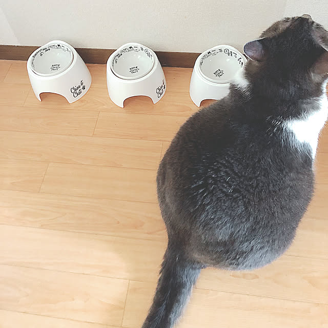 toufuさんの実例写真