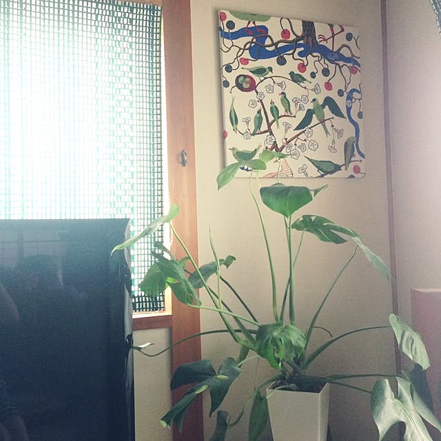 ramさんの実例写真