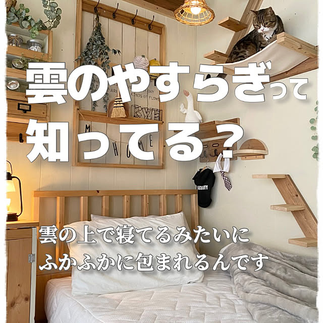 arch.to.meetさんの実例写真