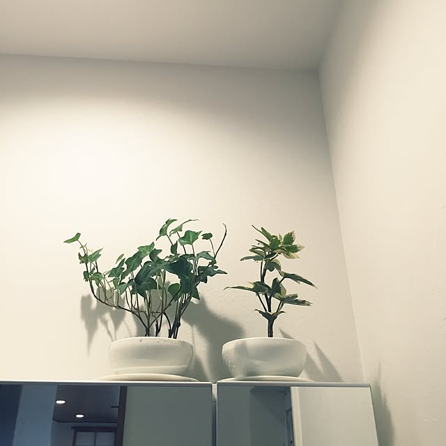 Mikiさんの実例写真