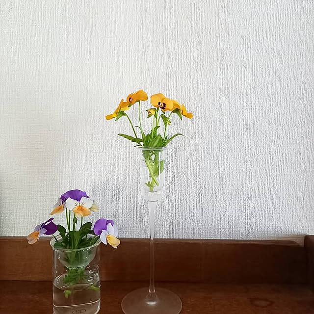 .Yamadaさんの実例写真