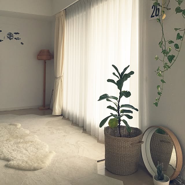haruhinaさんの実例写真