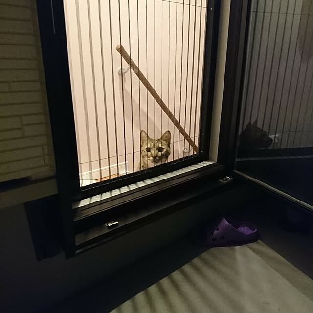 poniさんの実例写真