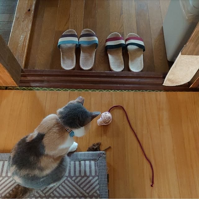fukuさんの部屋