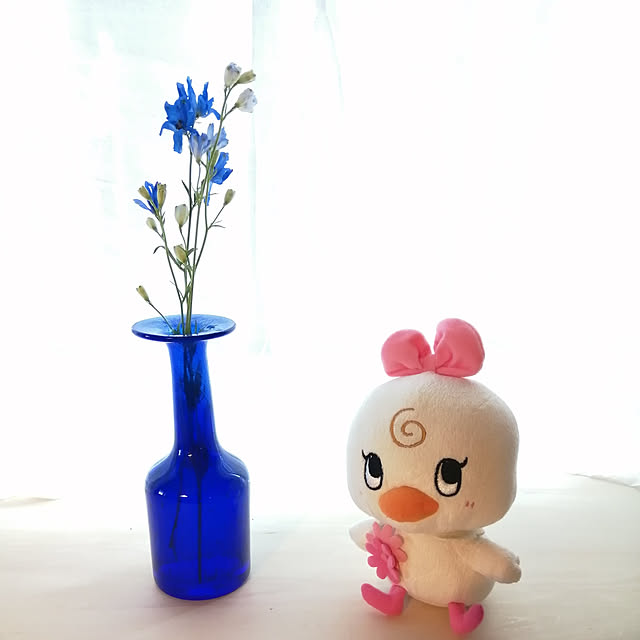 hiyocoさんの実例写真