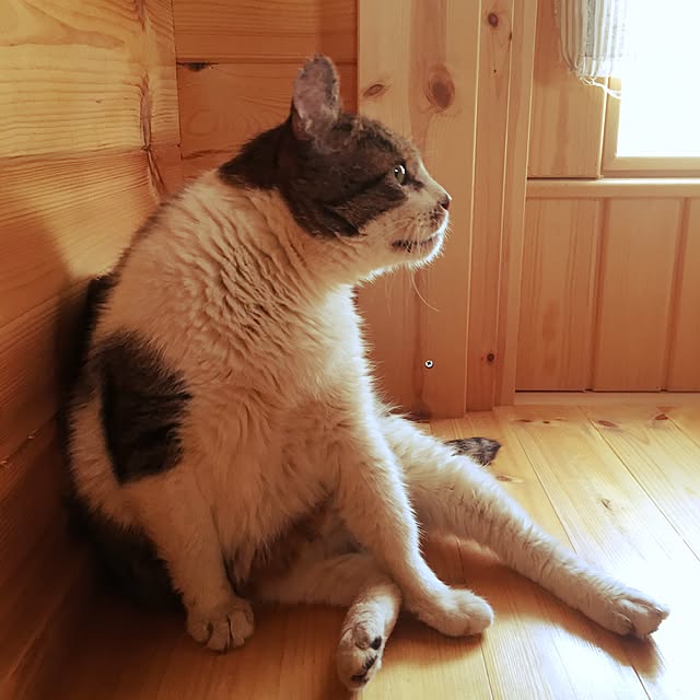 h.uさんの実例写真