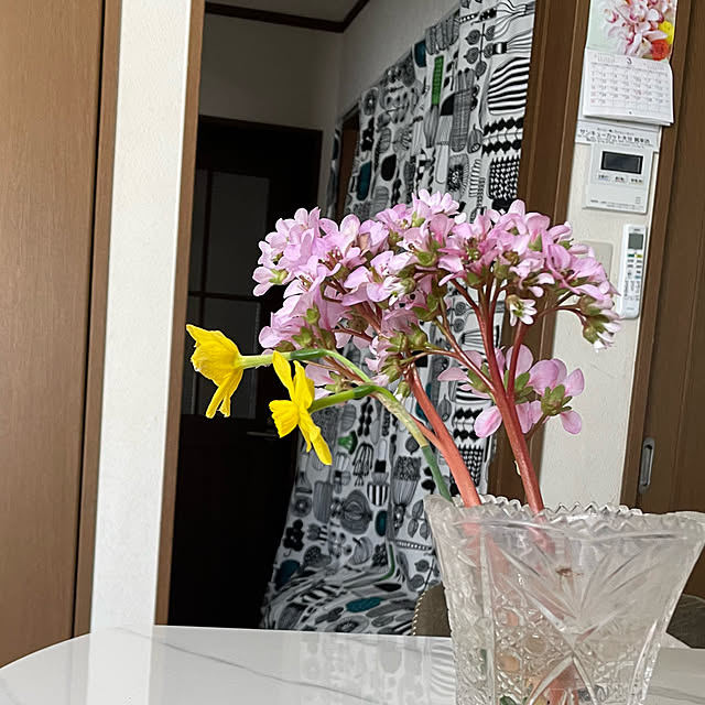 natsumiさんの部屋