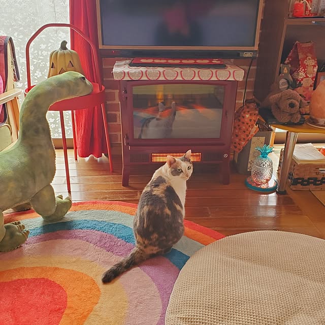 kumutanさんの部屋