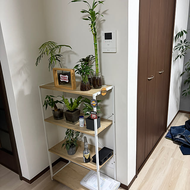 sutakariさんの実例写真