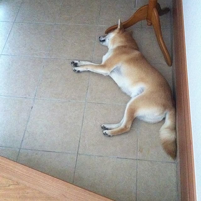 ushioさんの実例写真