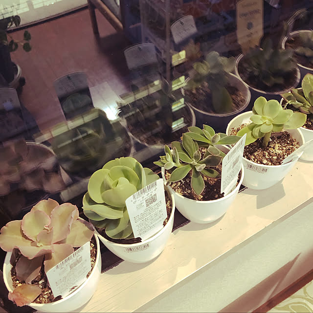 uchidaizuさんの実例写真