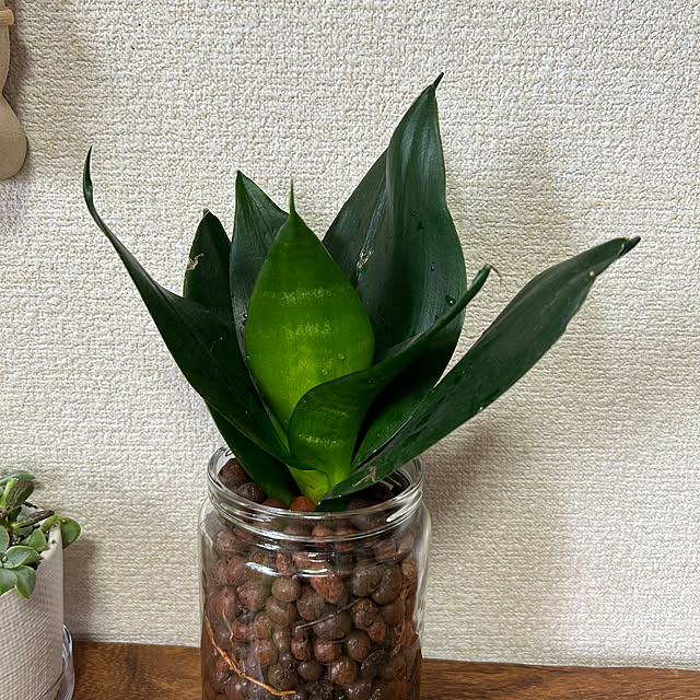 ritsukoさんの部屋