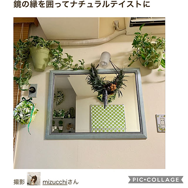 mizucchiさんの実例写真