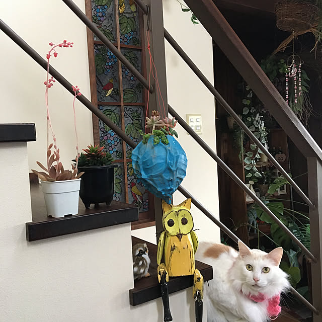 shigimiさんの実例写真