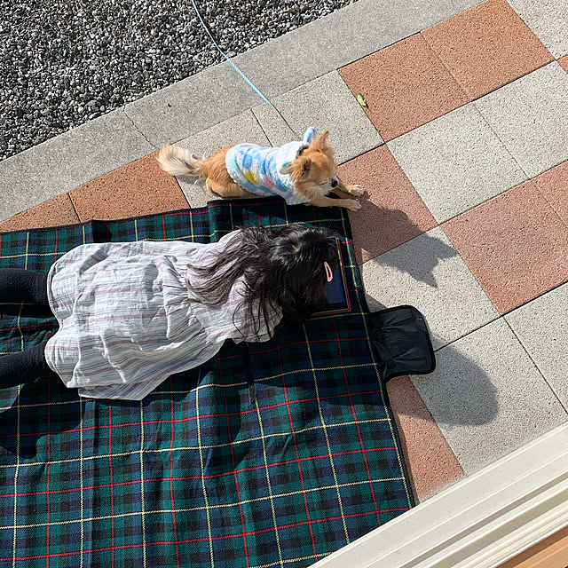 memeさんの実例写真