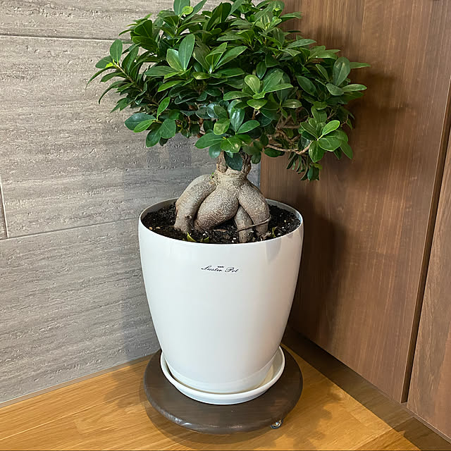 ponponcooさんの部屋