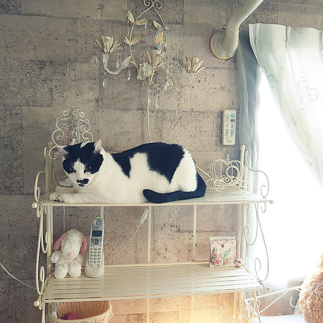 asuminさんの実例写真