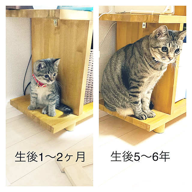 t-famさんの実例写真