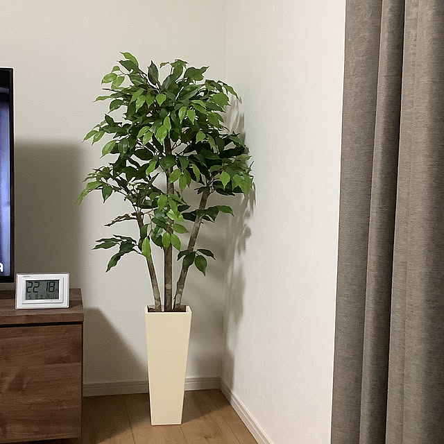 yamanohudouさんの部屋