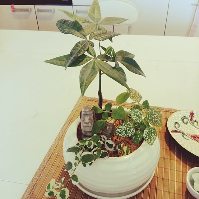 mipopoさんの実例写真