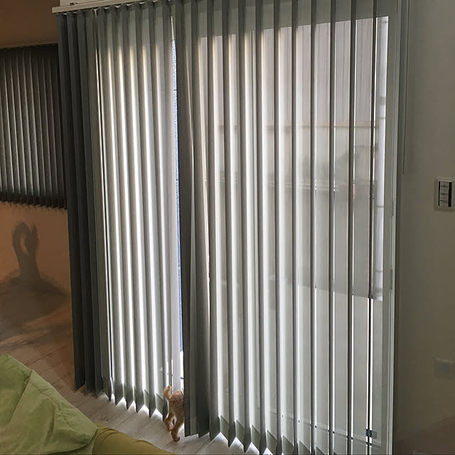 shiさんの実例写真