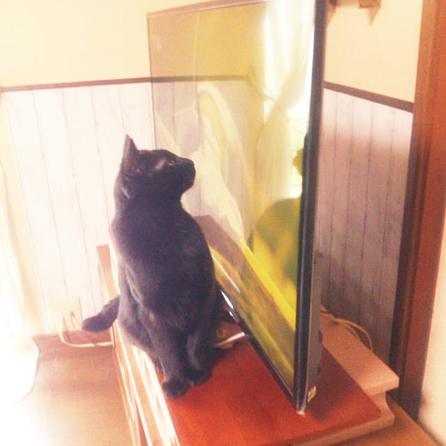 Tomopさんの実例写真