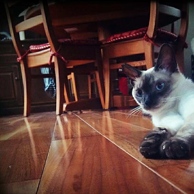 Rさんの実例写真
