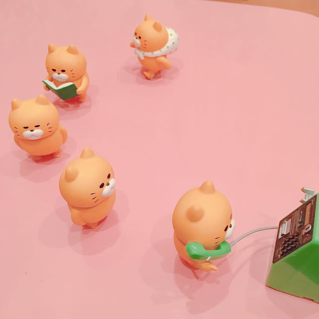 chippa8さんの実例写真