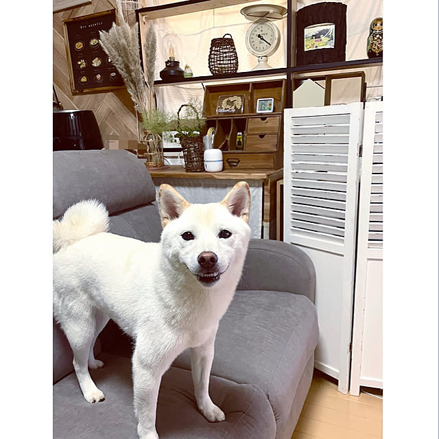 mo-nosukeさんの実例写真