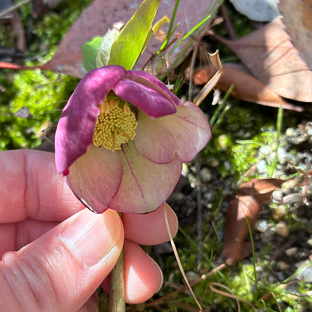 ayayayayaさんの部屋