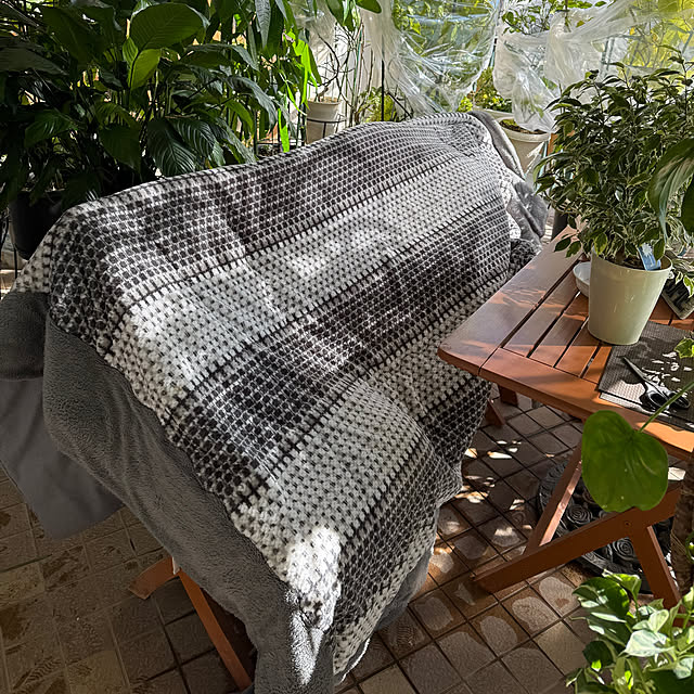 Aqettyさんの部屋