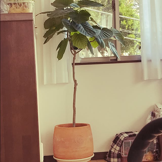 ta_____ko0115さんの実例写真