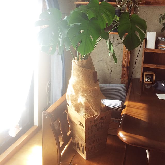 haruhimaさんの実例写真