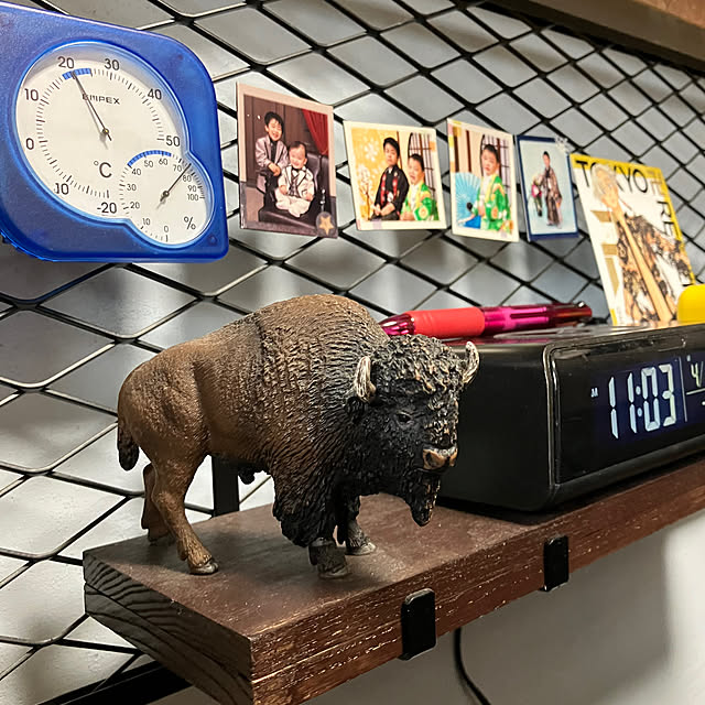 koshiregutyoさんの実例写真