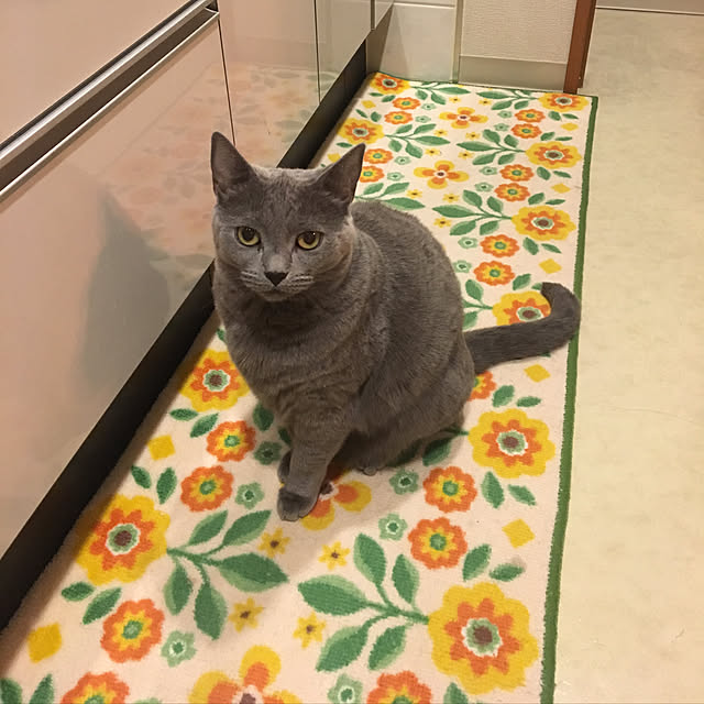 ikettenさんの実例写真